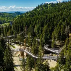 Zakopane gdzie z dzieckiem – najlepsze atrakcje na rodzinny wyjazd