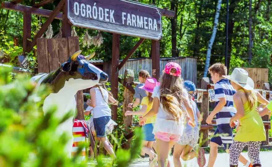Gdzie z dzieckiem w Rybniku? Odkryj najlepsze atrakcje rodzinne